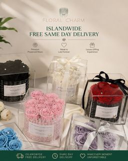 Preserved flower collection Collection item 3
