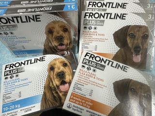 （分類：）位於 。 由 wonggggg_ 提交（商品編號 1441569313，圖片 1）。簡介： 。