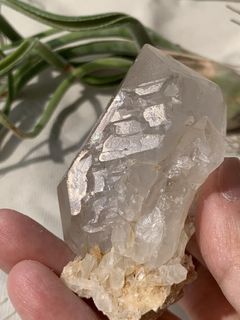 （分類：）位於 。 由 crystal_tree_99 提交（商品編號 1441429150，圖片 1）。簡介： 。