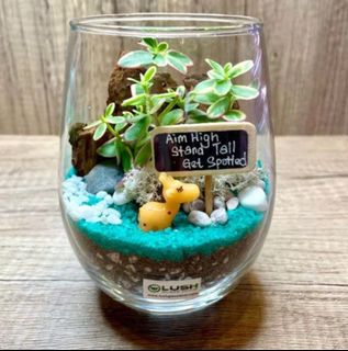 (Category: ) located in . Submitted by lushglassdoor (Listing ID 1441458860, Image 1). Description: .