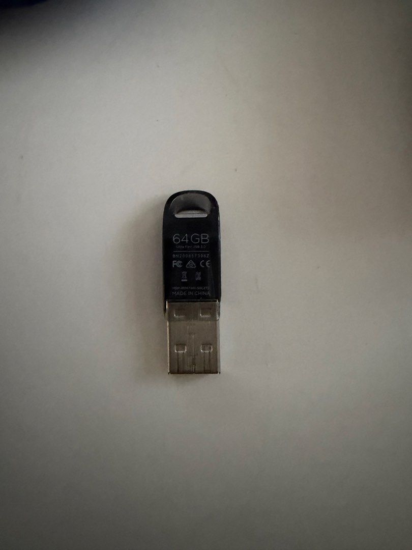 Multiple SanDisk USB Flash Drives471029177795235841