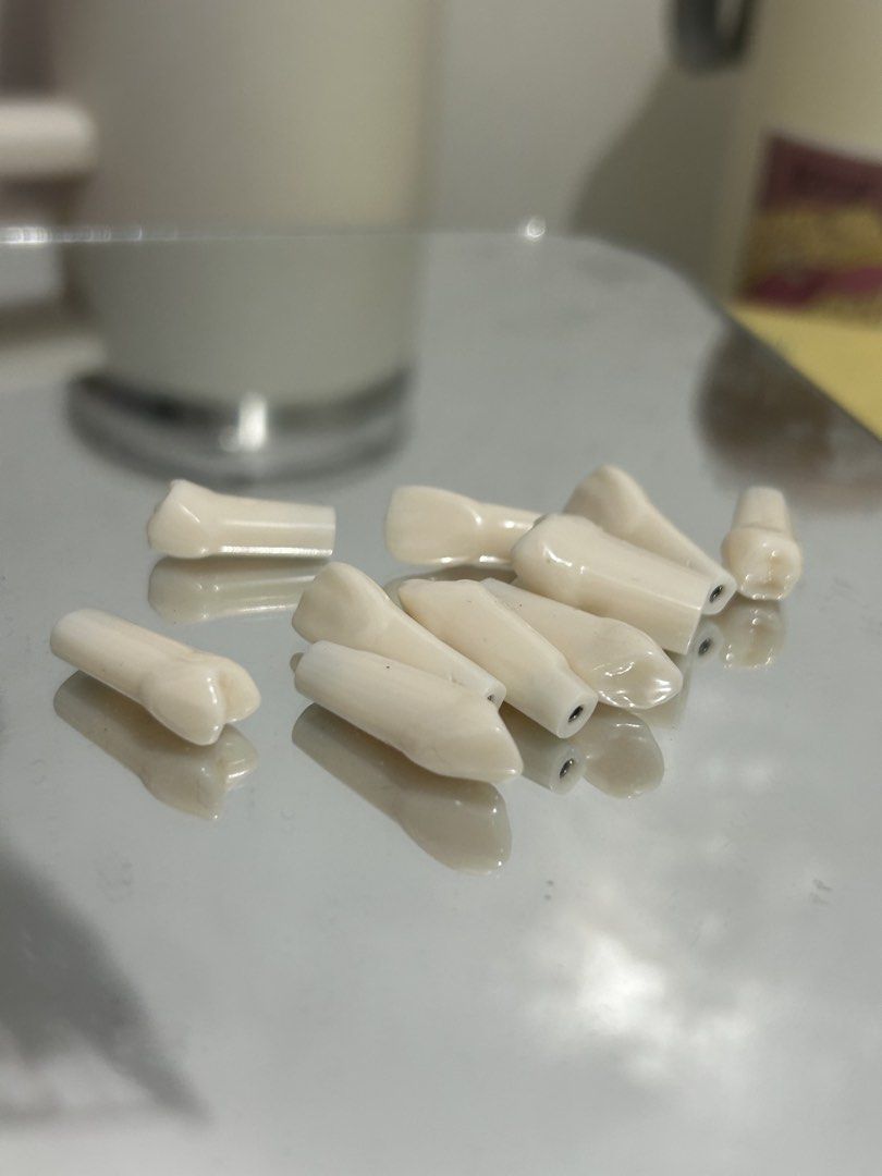 Original Nissin Tooth Typodont refills (Category: Medical Supplies & Tools) located in Manila. Submitted by zeal_vanillasundae (Listing ID 1441497612, Image 1). Description: Original Nissin 65 each 11, 21, 26, 24, 13.