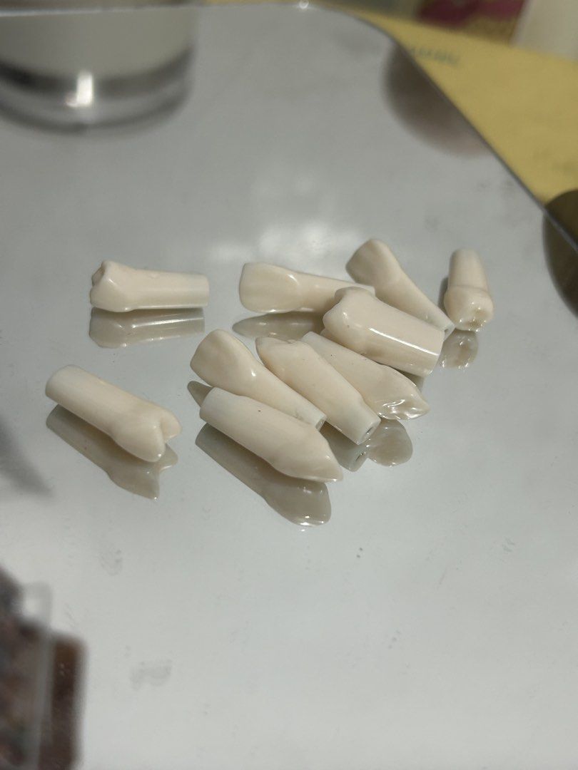 Original Nissin Tooth Typodont refills (Category: Medical Supplies & Tools) located in Manila. Submitted by zeal_vanillasundae (Listing ID 1441497612, Image 2). Description: Original Nissin 65 each 11, 21, 26, 24, 13.