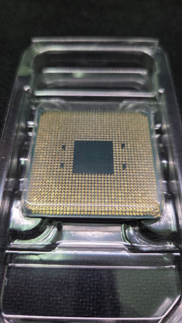 Ryzen 5 5600X471398989945251841