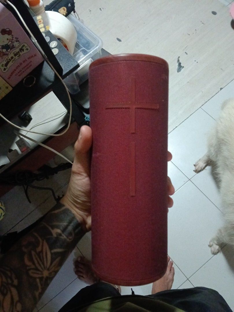 Ue megaboom3471492546045552640