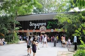 (Category: ) located in . Submitted by tuition_in_singapore (Listing ID 1441363552, Image 1). Description: .