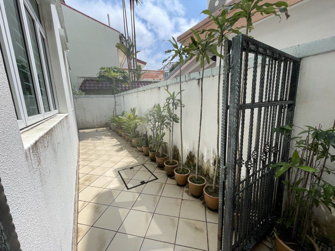 Assorted plants487394428753039364