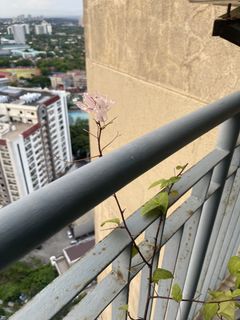 (Category: ) located in . Submitted by supplementary (Listing ID 1445039726, Image 1). Description: .