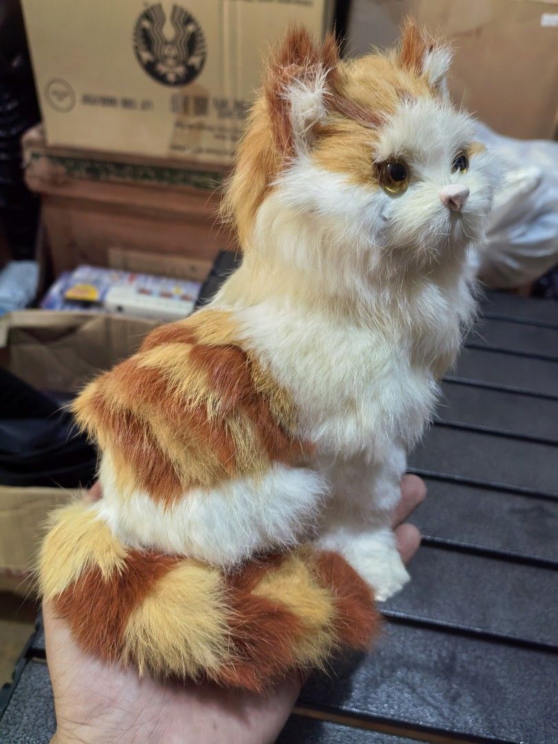 Cat Figure Display (Category: Figurines & Statues) located in Cebu City. Submitted by dudes_villanueva (Listing ID 1444882877, Image 3). Description: Cat Figure Display 📌 Life-like display model. 📌 In very good condition. See all pics for details. Height: 8.5 in.
