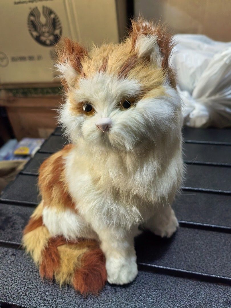 Cat Figure Display (Category: Figurines & Statues) located in Cebu City. Submitted by dudes_villanueva (Listing ID 1444882877, Image 2). Description: Cat Figure Display 📌 Life-like display model. 📌 In very good condition. See all pics for details. Height: 8.5 in.