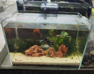 (Category: ) located in . Submitted by happy_sail (Listing ID 1444873442, Image 1). Description: .