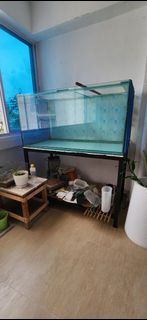 (Category: ) located in . Submitted by teeweek (Listing ID 1444958138, Image 1). Description: .