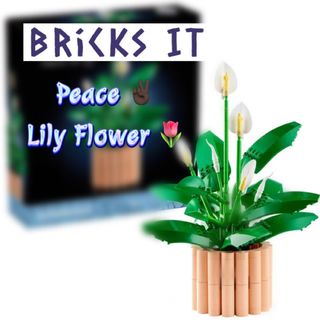 (Category: ) located in . Submitted by bricksit (Listing ID 1444872308, Image 1). Description: .