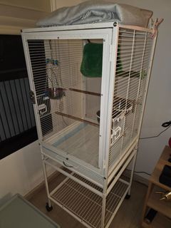 (Category: ) located in . Submitted by queenofsold (Listing ID 1445001509, Image 1). Description: .