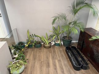 （分類：）位於 。 由 jage85 提交（商品編號 1444929503，圖片 1）。簡介： 。