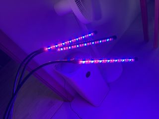(Category: ) located in . Submitted by dreamfree (Listing ID 1445152366, Image 1). Description: .