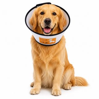 (Category: ) located in . Submitted by gooddealsintown (Listing ID 1445232995, Image 1). Description: .