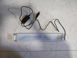 (Category: ) located in . Submitted by melv2000 (Listing ID 1445216368, Image 1). Description: .
