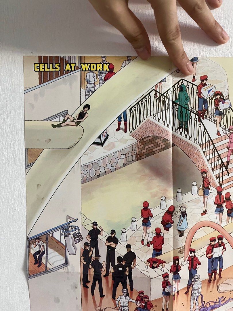 Cells At Work Poster (Category: Comics & Manga) located in Bacoor. Submitted by jennann (Listing ID 1445098678, Image 2). Description: .