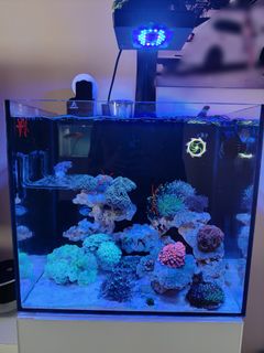(Category: ) located in . Submitted by exquisite.detailing (Listing ID 1445113348, Image 1). Description: .