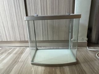 (Category: ) located in . Submitted by leong_varian (Listing ID 1445050025, Image 1). Description: .