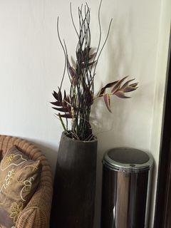 (Category: ) located in . Submitted by rymum (Listing ID 1445100656, Image 1). Description: .