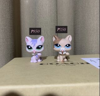 (Category: ) located in . Submitted by shimi09 (Listing ID 1445202106, Image 1). Description: .