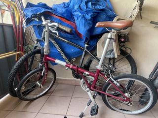 (Category: ) located in . Submitted by milinmajid (Listing ID 1445157633, Image 1). Description: .