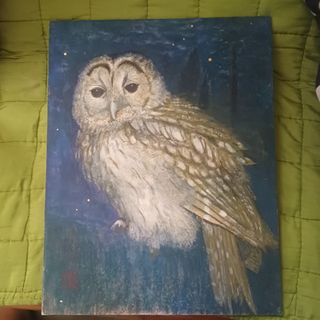 (Category: ) located in . Submitted by silvercrystal_fd03a9 (Listing ID 1445082584, Image 1). Description: .