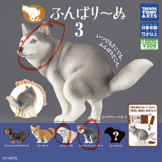 （分類：）位於 。 由 namaste33 提交（商品編號 1445193769，圖片 1）。簡介： 。
