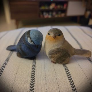 （分類：）位於 。 由 her_bae 提交（商品編號 1445356378，圖片 1）。簡介： 。