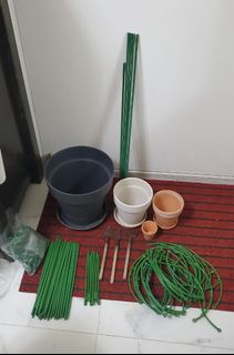 （分類：）位於 。 由 Lthip 提交（商品編號 1445374811，圖片 1）。簡介： 。