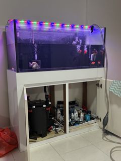 (Category: ) located in . Submitted by 0029i (Listing ID 1445289455, Image 1). Description: .