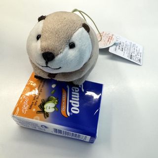 （分類：）位於 。 由 pugpugpugpugpug 提交（商品編號 1445283966，圖片 1）。簡介： 。