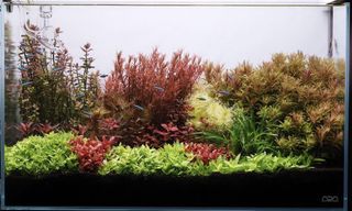 (Category: ) located in . Submitted by sltan2 (Listing ID 1445371179, Image 1). Description: .