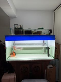 (Category: ) located in . Submitted by samong210922019 (Listing ID 1445310358, Image 1). Description: .