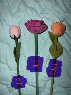 (Category: ) located in . Submitted by shadowyflowers (Listing ID 1445278441, Image 1). Description: .