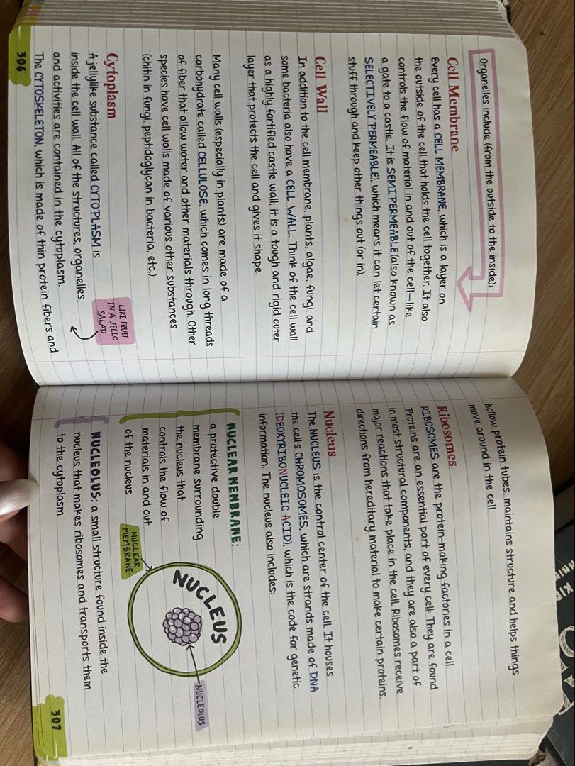 Everything You Need to Ace Science & History Notebooks (Category: Textbooks) located in Makati City. Submitted by nat____ (Listing ID 1445310824, Image 3). Description: - 250 EACH - Ace Science & World History Middle School Study Guides - Perfect for revision or catching up - See pictures for flaws.