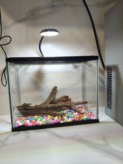 (Category: ) located in . Submitted by szfamilyhey (Listing ID 1440342122, Image 1). Description: .