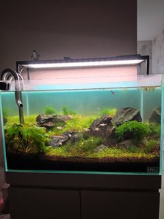 (Category: ) located in . Submitted by flo71_crystal (Listing ID 1445345567, Image 1). Description: .