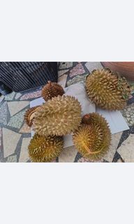 (Category: ) located in . Submitted by hsk8833 (Listing ID 1445386356, Image 1). Description: .