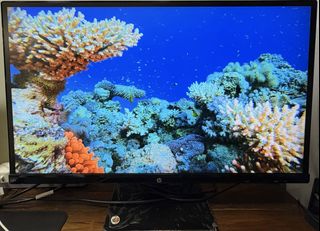 (Category: ) located in . Submitted by jodyck (Listing ID 1445243021, Image 1). Description: .