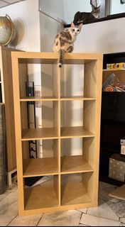(Category: ) located in . Submitted by cassietako (Listing ID 1444945919, Image 1). Description: .