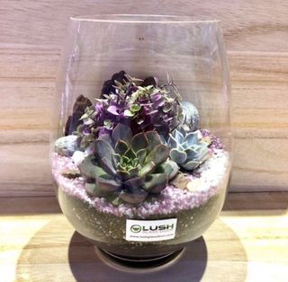 (Category: ) located in . Submitted by lushglassdoor (Listing ID 1445236924, Image 1). Description: .