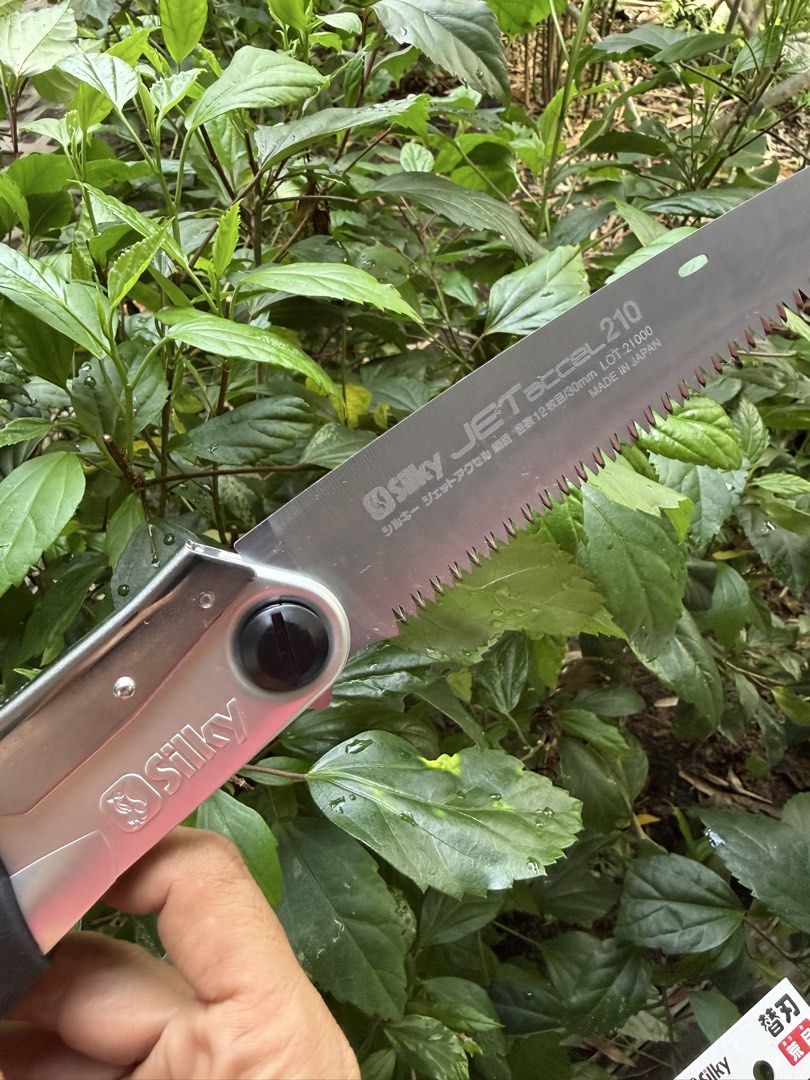 Silky Saw Made In Japan (Category: Gardening Tools & Ornaments) located in Calamba. Submitted by transitory (Listing ID 1445346928, Image 3). Description: For Sale All Brand New Made In Japan Silky Saw 1. Jet Accel 210 plus 2 extra blades Set for ₱3,400 2. Gomtaro replacement blades (210 and 240) ₱900 each 3. Pocketboy replacement blades (130) ₱650 each Location:Calamba,Laguna J&T shipping or Lalamove c/o buyer Salamat 🙏🏽 .