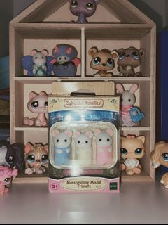 (Category: ) located in . Submitted by for_salesss (Listing ID 1445313547, Image 1). Description: .