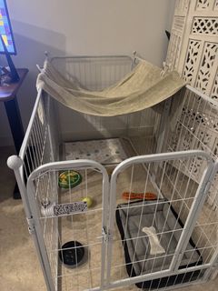 (Category: ) located in . Submitted by gemiliawhitty (Listing ID 1444935034, Image 1). Description: .