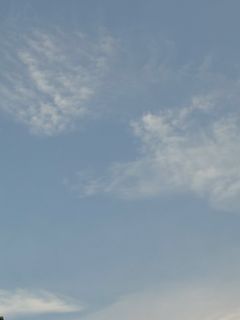 由 stonei413 (刊登 ID 1445588253，圖片 1) 提交，位於 的 (類別：)，說明：。
