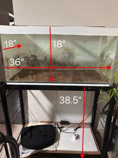 (Category: ) located in . Submitted by lynnboh (Listing ID 1445545226, Image 1). Description: .