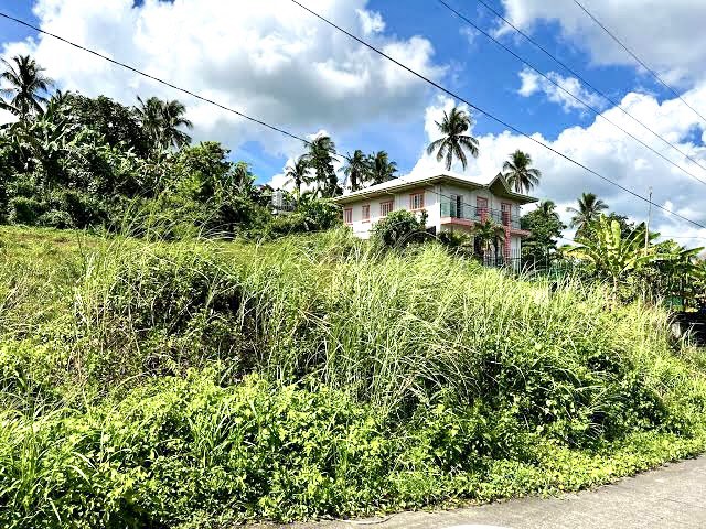 (Category: ) located in . Submitted by property_ph (Listing ID 236116024, Image 1). Description: .